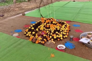 हर्रई: हरई में धूमधाम से मनाया गया गोवर्धन पूजा का त्यौहार, सुख-शांति की कामना, गुरुवार को भाई दूज