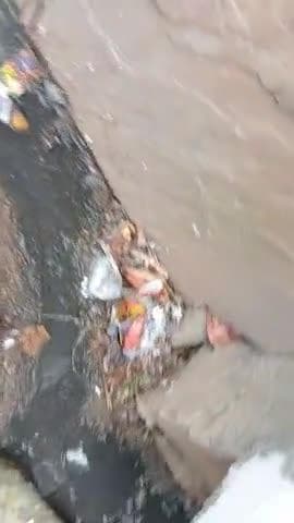 अजय जाटव शंकर कॉलोनी वार्ड नंबर 7