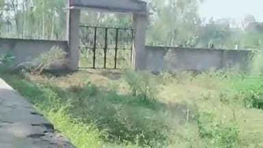 सुल्तानपुर: लाखों की लागत से बना पूरे पवार का खेल मैदान झाड़-झंकार में तब्दील, शासन-प्रशासन की नहीं पड़ रही नज़र