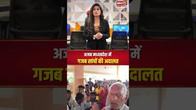 अजब मध्यप्रदेश में गजब सांपों की अदालत #mpnews #snake #snakevideo #viralnews