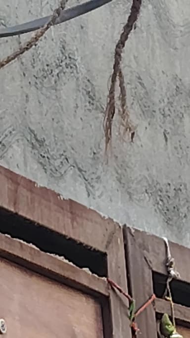 palwal khail kallan मोहले की गलियां
लव इन टोक्यो जापान बिजली के तारों का जोहड़ जो कभी भी किसी बड़े हादसे को अंजाम दे स