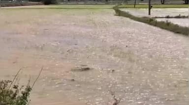 இராமநாதபுரம்: பனைக்குளம், காவனூர் உள்ளிட்ட பல பகுதிகளில் மழைவெள்ளம் வயல்வெளிகளை சூழ்ந்துள்ளதால் விவசாயிகள் கவலை