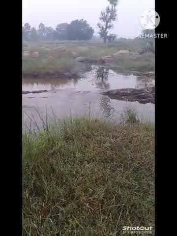धान पर करते हु याम पाबलिक #धनवार में