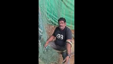 గాజువాక: అగనంపూడి క్రికెట్ స్టేడియం సమీపంలో ఓ పాము హల్చల్ చేయగా స్నేక్ కేచర్  సుదీర్ఘ ప్రాంతానికి తరలించారు