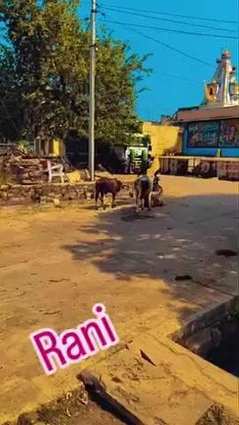 https://www.instagram.com/prakash_bhil_001_king?igsh=d2J1NndsemlqZ2Rq