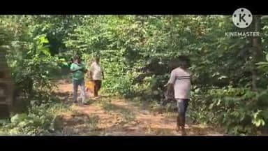 ଧମା: ଧମା ଥାନା ରଙ୍ଗିଆ ଟିକିରା ଜଂଗଲରୁ ଯୁବକଙ୍କ ଗଳିତ ଶବ ଉଦ୍ଧାର