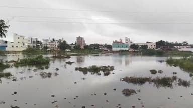 కొవ్వూరు: నెల్లూరులో చెరువు కాదు.. వర్షపు నీరే..!