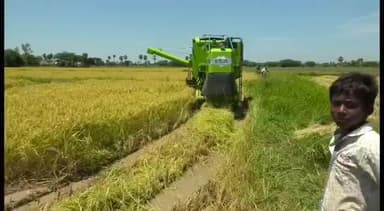 கீழ்வேளூர்: மழை தற்சமயம் ஓய்ந்துள்ள நிலையில் அவசர அவசரமாக அறுவடை பணியில் ஈடுபட்டுள்ள விவசாயிகள் மாவட்டம் முழுவதும் அறுவடை பணிகள் தீவிரமாக நடைபெறுகிறது