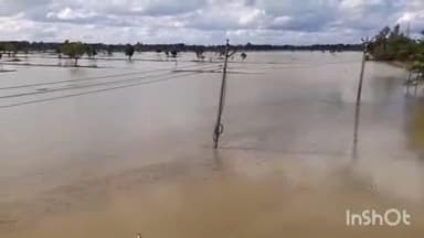 நன்னிலம்: செறுவளூர் மற்றும் அதன் சுற்று வட்டார பகுதிகளில் 1000 ஏக்கருக்கு மேல் சம்பா நெற்பயிர்கள் தண்ணீரில் மூழ்கியதால் விவசாயிகள் வேதனை