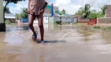 ராஜசிங்கமங்கலம்: திருப்பாலைக்குடியில் கடல் போல் தேங்கிய மழை நீர்