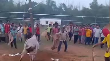শালবনি: শালবনীতে ভাই ফোঁটা উপলক্ষে বুলানপুরে বাঁদনা পরব এবং গরু খুটান