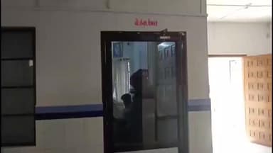 ગઢડા: ગઢડા તાલુકાના રોહીશાળા ગામે મોટરસાયકલ ચાલકે બાળકને અડફેટે લેતા પોલીસ ફરિયાદ નોંધાઈ