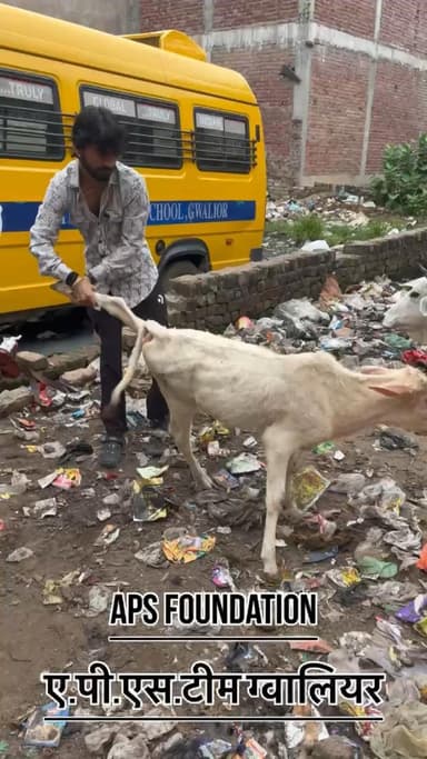 इसके ओर इसकी माँ के किसी ने लाठी मारदी इसे बहुत ज्यादा घायल हो गई..!
Respect Girls help poor help animals
#apsgurjar #help #gwalior