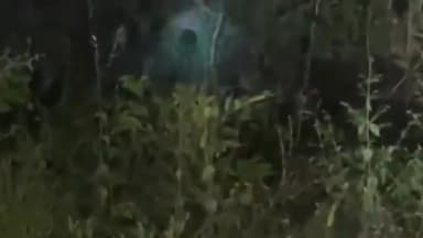 જાંબુઘોડા: જાંબુઘોડાથી ભાણપુરાને જોડતા માર્ગ પર દીપડી તેના બચ્ચા સાથે રસ્તા પર દેખાતા ગ્રામજનોમા ફફડાટ ફેલાયો