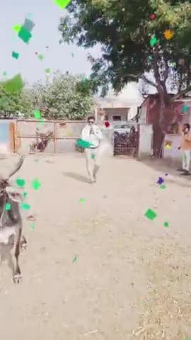 🐂 मातृकुंडियां श्री राधे कृष्ण बजरंग गौशाला सेवा संस्थान में गोवर्धन पूजा — सेवा, सहयोग और संस्कार का सुंदर संगम🤝