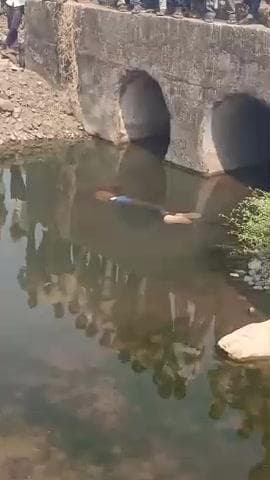 थांदला क्षेत्र के ग्राम रुडीपाडा मे ऐक नाले में मिला अज्ञात व्यक्ति का शव पुलिस छानबीन कर रही है