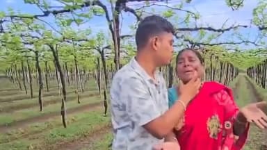 बार्शी: कोरफळे येथे द्राक्ष बागेवर अज्ञात व्यक्तीने फवारले तननाशक, शेतकऱ्याचे मोठे नुकसान