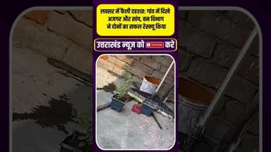 लक्सर में फैली दहशत गांव में दिखे अजगर और सांप, #uttarakhandnews #viralvideo #snakevideo