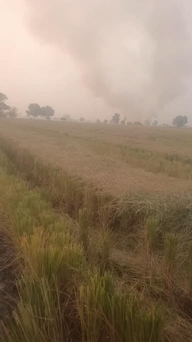 किसान सरेआम लग रहे हैं परली में आग #news #city #pollution #haryana