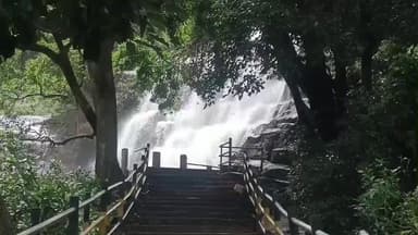 ஆண்டிப்பட்டி: 6வது நாளாக மேகமலை அருவியில் குளிக்க தடை - படிக்கட்டுகள் சேதம் மண்சரிவு என பாதுகாப்பாற்ற நிலையில் அருவி