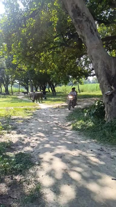 #फस गया #मॉल के #चक्कर में #comedy #funny #trending #viral #fun #entertainment #memes #follw #sethji5g