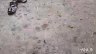 भूम: तालुक्यातील आंबी परिसराला पुन्हा मुसळधार पावसाचा तडाका बळीराजावर दुहेरी संकट