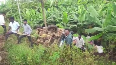 ರಬಕವಿ-ಬನಹಟ್ಟಿ: ಜಗದಾಳ ಗ್ರಾಮದ ಸಮೀಪ ಚಾಲಕ ನಿಯಂತ್ರಣ ತಪ್ಪಿ ಓಮ್ನಿ ಕಾರು ಬಾಳೆ ತೋಟದಲ್ಲಿ ಪಲ್ಟಿ