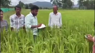 వెంకటాపురం: రైతులకు వ్యవసాయ క్షేత్రంలో అవగాహన కార్యక్రమం నిర్వహించిన అధికారి నవీన్