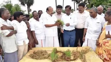 திருவாரூர்: திருக்கரவாசலில் வடகிழக்கு பருவமழையால் பாதிக்கப்பட்ட விவசாய நிலங்களை அமைச்சர் பன்னீர்செல்வம் நேரில் ஆய்வு