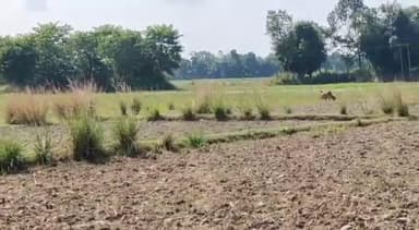 সৰ্থেবাৰী: সৰ্থেবাৰীৰ নলীৰপাম গাঁৱৰ পথাৰৰ মাজত নৱজাকৰ মৃতদেহ উদ্ধাৰ আৰক্ষী উপস্থিত হৈ তদন্ত কৰে