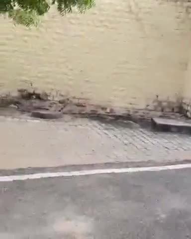 जायल: रोल पुलिस थाने में नाबालिग लड़की से बलात्कार के प्रयास का मामला दर्ज