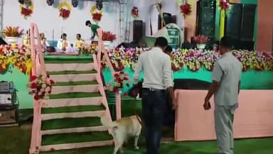 কুমারগ্রাম: বারবিশার বিবেকানন্দ ক্লাবের ঐতিহ্যবাহী কালীপুজোর মেলায় স্নিফার ডগ সহ DIB-র তল্লাশি অভিযান