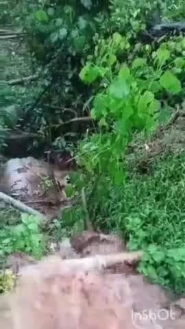 ಮೂಡಿಗೆರೆ: ಚರಂಡಿ ನಿರ್ಮಾಣಕ್ಕೆ ವಾಟೆಖಾನ್ ಗ್ರಾಮಸ್ಥರ ಆಗ್ರಹ.!