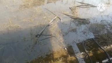 बोली में 4 किसानों के खेतों से केवल चोरी, समरसेबल मोटर और सोलर प्लेट की चुराई गई