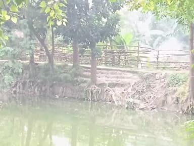 खोदावंदपुर: प्रखंड के पोखरों में गंदगी का अंबार, छठ व्रती कैसे देंगे अर्घ्य?