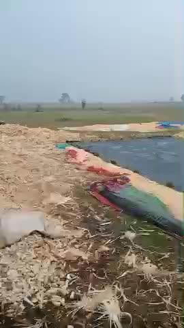 ब्लॉक बदरवास के peerot गांव में  पानी के कारण 1200 क्विंटल के लगभग मक्का का नुकसान हुआ किसान हुआ भारी दुखी 😭😭😭#viral