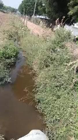 पिछले तीन महीनों से खेत में लगातार ग्राम पंचायत सारसोप के नलों का वेस्ट पानी जाकर भर रहा है प्रशासन ध्यान नहीं दे रहा है