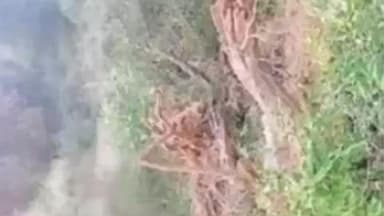 बहल: गोकुलपुरा में निर्माणाधीन अनुसंधान केंद्र में अवैध रूप से हो रही है पेड़ कटाई, ग्रामीणों ने प्रशासन से की जांच की मांग