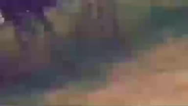 सिवानी: सिवानी में लीलस गांव के पास चलती कार में लगी भीषण आग, युवक ने शीशा तोड़कर बचाई जान