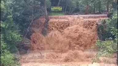 கல்வராயன் மலை: கல்வராயன் மலை பகுதியில் பெய்த கன மழை காரணமாக பெரியார் நீர்வீழ்ச்சியில் வெள்ளப்பெருக்கு ஏற்பட்டுள்ளதால் சுற்றுலா பயணிகள் குளிக்க தடை