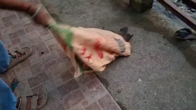 চতিয়াৰ তেৱাৰীপালৰ ধাননী পথাৰত এটা প্ৰকাণ্ড কাছ উদ্ধাৰ