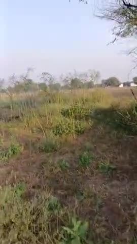 rampura gav me khet me lagai  aag