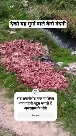 हमीरपुर जिले में राठ सियावरी रोड में मुर्गा काटकर फेक जाते हैं घर भी बने सामने और यहां रहने वाले की बहुत दिक्कत होती है