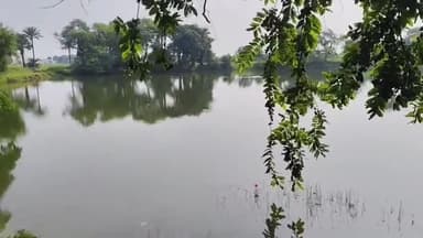 नाथनगर: भतोड़िया में घास काटने गई महिला की तालाब में डूबने से मौत, दूसरे दिन मिला शव