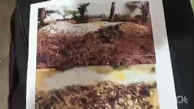 राहतगढ़: मूंडरी गांव में अज्ञात कारणों से मक्के के भुट्टे की फसल जली, ₹90-95 हजार का नुकसान