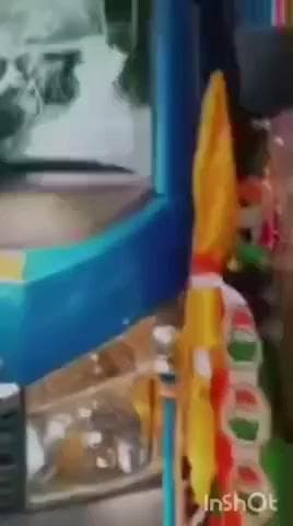 बछवारा: बछवारा में वीडियो वायरल: जनसुराज प्रत्याशी की गाड़ी पर जबरन कांग्रेस का झंडा लगाया
