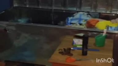 उंटारी रोड: ऊंटारी रोड थाना क्षेत्र में चोरी की घटनाओं से लोग परेशान, रात में डर के कारण सो भी नहीं पा रहे हैं