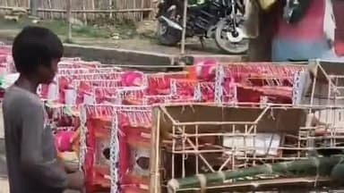 सुप्पी: मोहनी मंडल विष्णु सिंह टोला में महावीरी झंडा का आयोजन