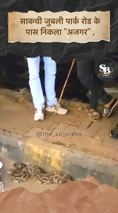 साकची जुबली पार्क रोड के पास निकला "अजगर" ,छोटू स्नैकबॉय की टीम ने समय पर पहुंच उसे पकड़ा , देखने पहुंचे लोगों की उमड़ी भीड़… #jamshedpur