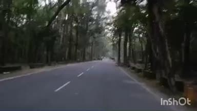 चकराता: सड़क पार करते हाथियों के झुंड को देख लोग बने सहयोगी